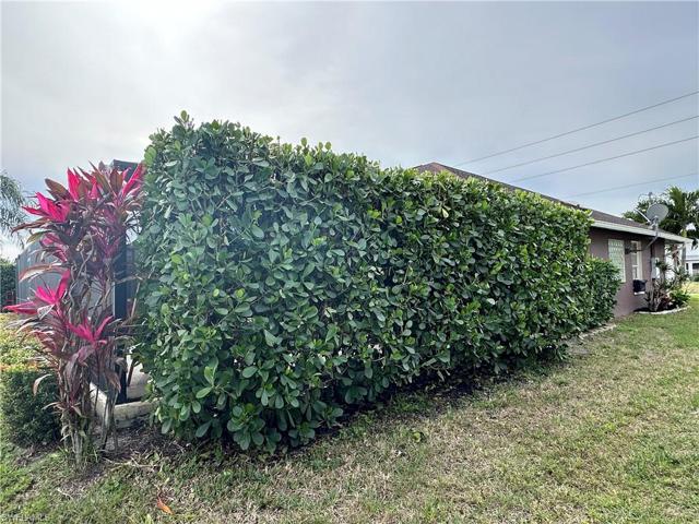 High Bushes for Optimum Privacy