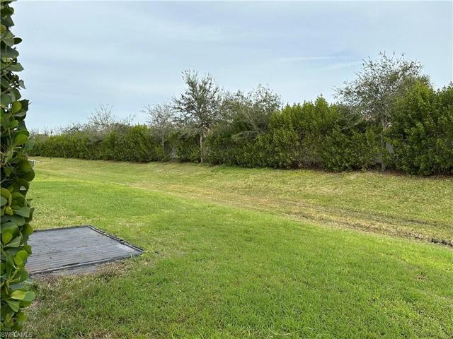 Huge Back Yard Area w/ Privacy Wall & Treeline