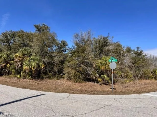 View of asphalt road