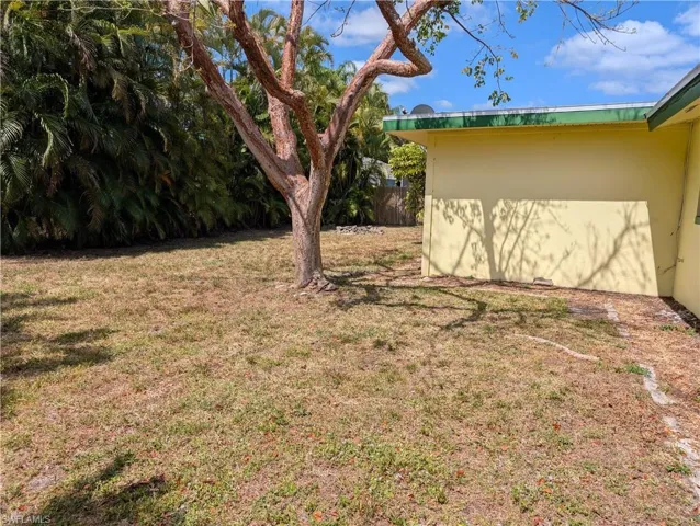 View of backyard yard