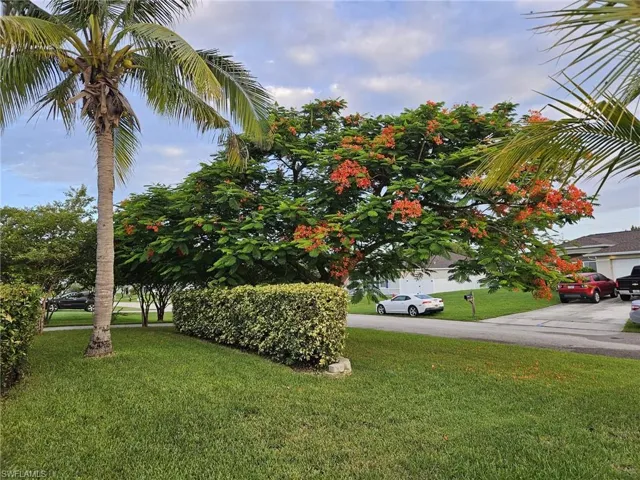 View of green lawn