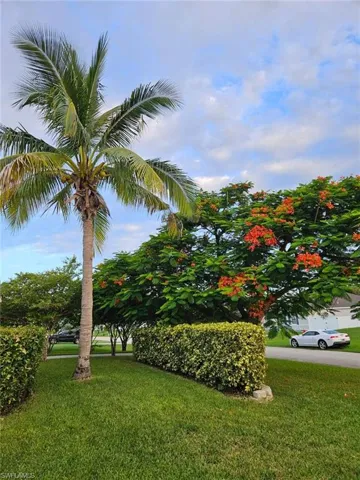 View of green lawn
