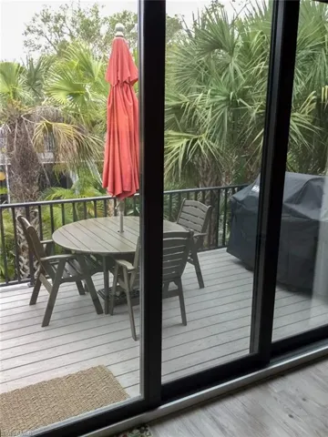 Rear View Pre-Hurricane Ian–now growing back quickly!