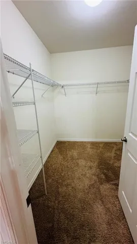 Spacious closet featuring carpet