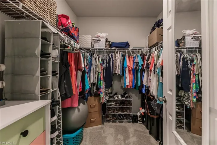 Spacious Walk In closet with carpet