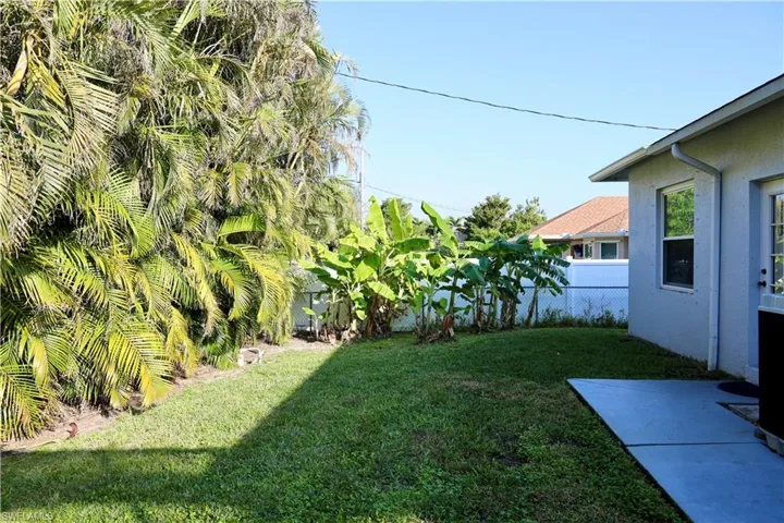 View of backyard & chainlink fenced-in yard