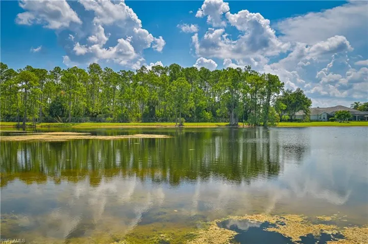View of water feature