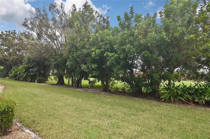 View of backyard
