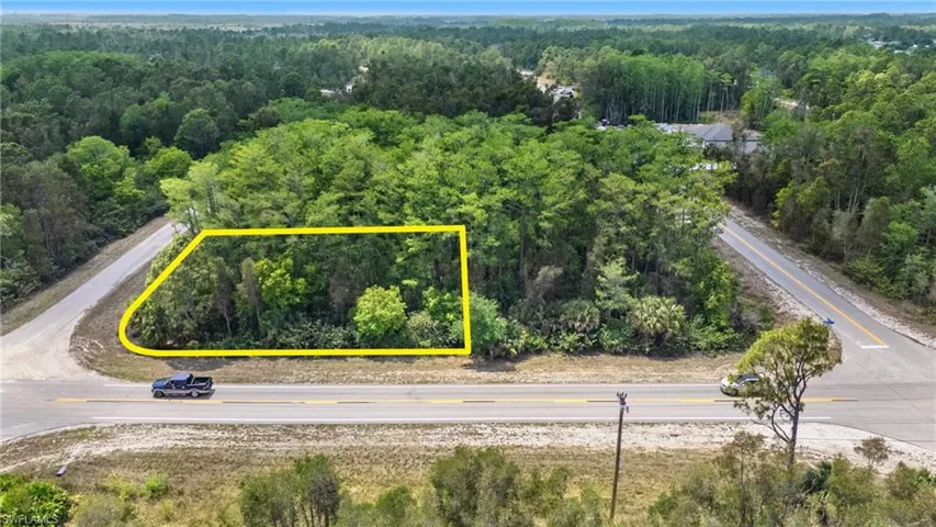 Birds eye view of property with a forest view