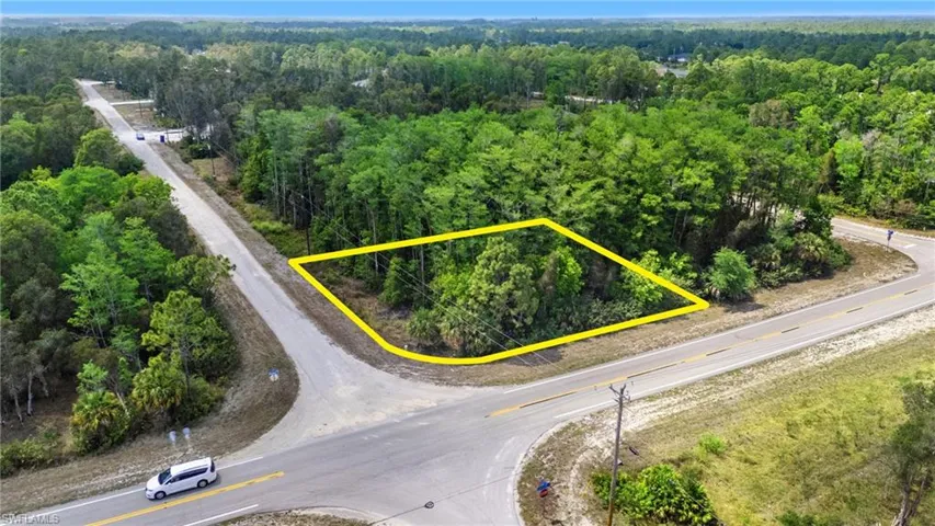 Drone / aerial view with a wooded view