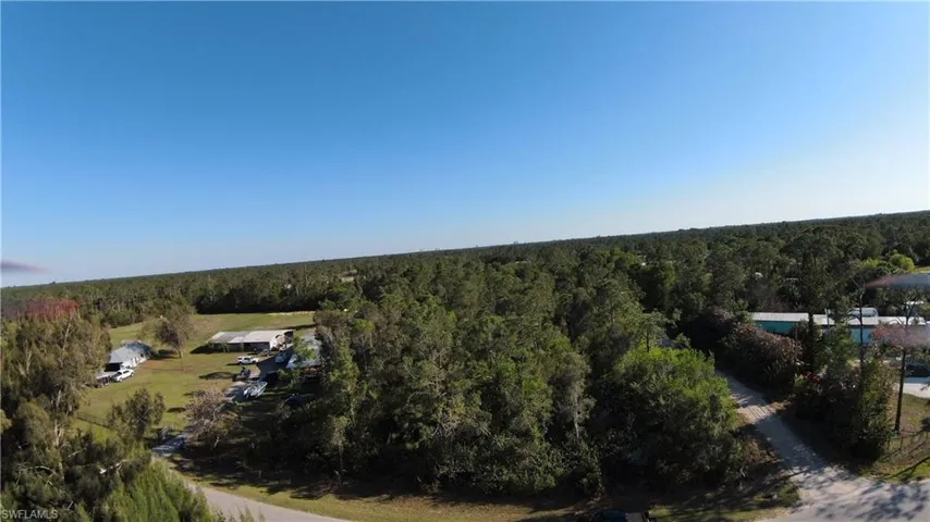 Aerial view of a forest