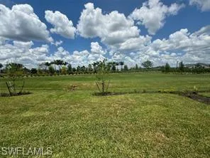 Backyard view (Northern exposed backyard with room for pool and pool cage)