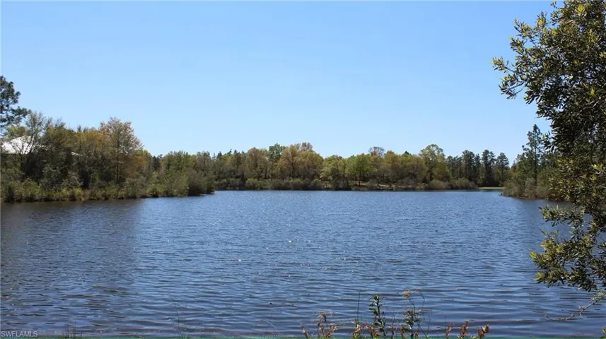 Water view featuring a forest view