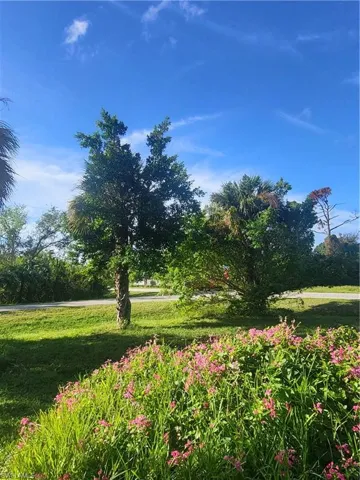 View of community featuring a lawn