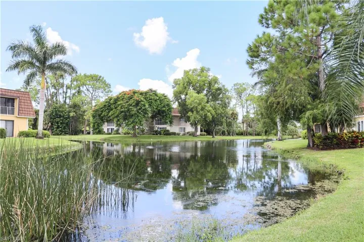 Water view