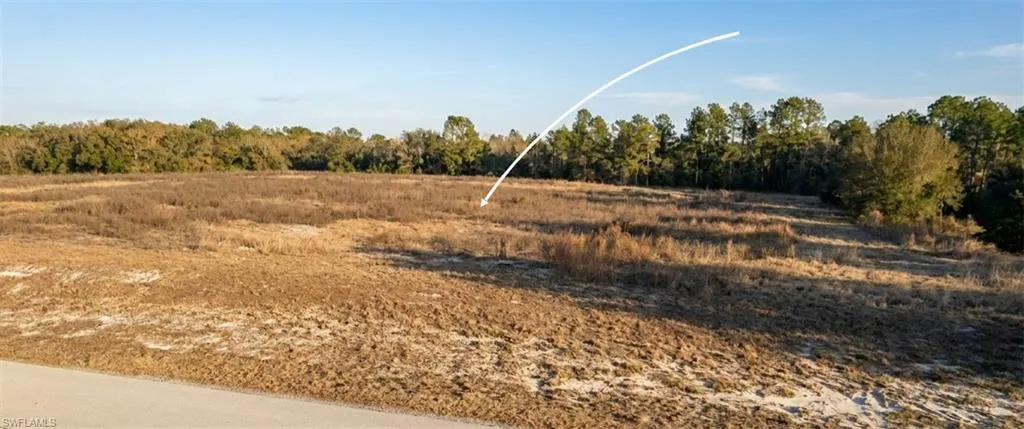 Se 136th Ter, Morriston, Florida 32668