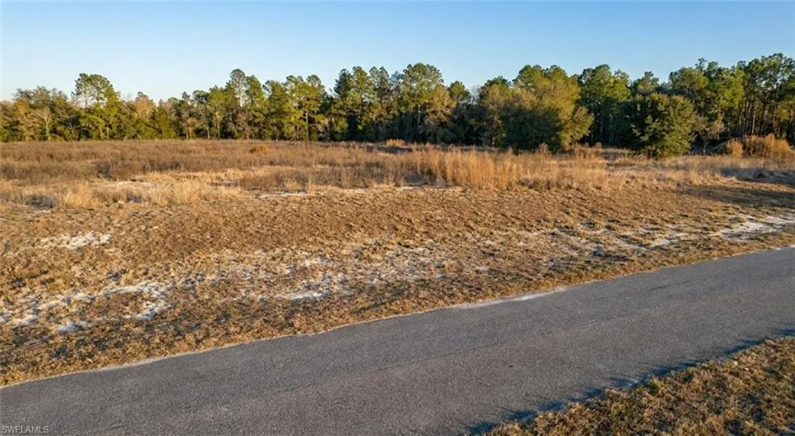 Se 136th Ter, Morriston, Florida 32668