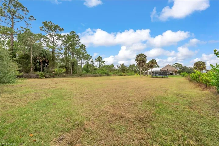 View of green lawn