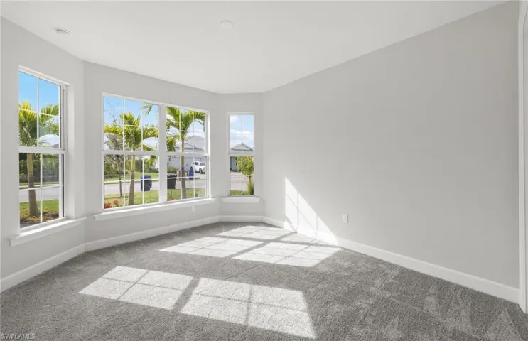 Carpeted spare room with a wealth of natural light
