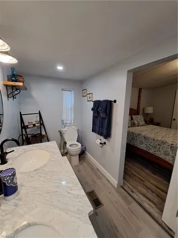 Bathroom with vanity, toilet, and hardwood / wood-style floors