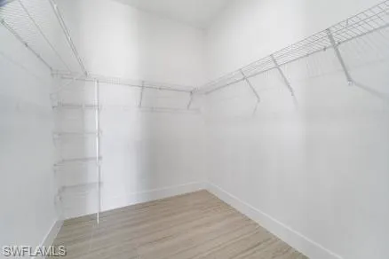 Spacious closet featuring wood finished floors