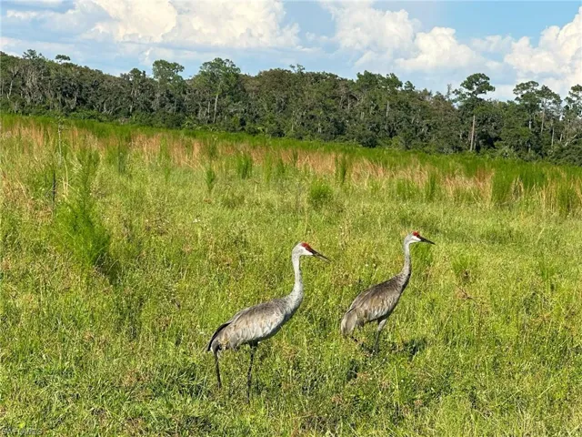 Secretariat Dr, Labelle, Florida 33935