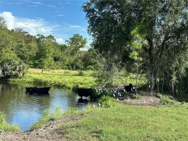 Secretariat Dr, Labelle, Florida 33935