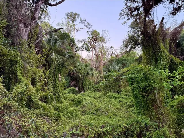 Secretariat Dr, Labelle, Florida 33935