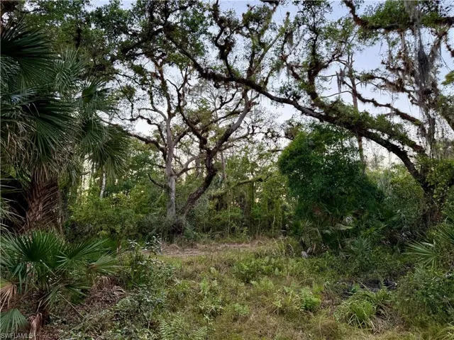 Secretariat Dr, Labelle, Florida 33935