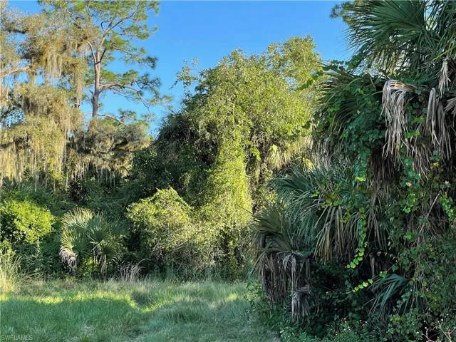 Secretariat Dr, Labelle, Florida 33935