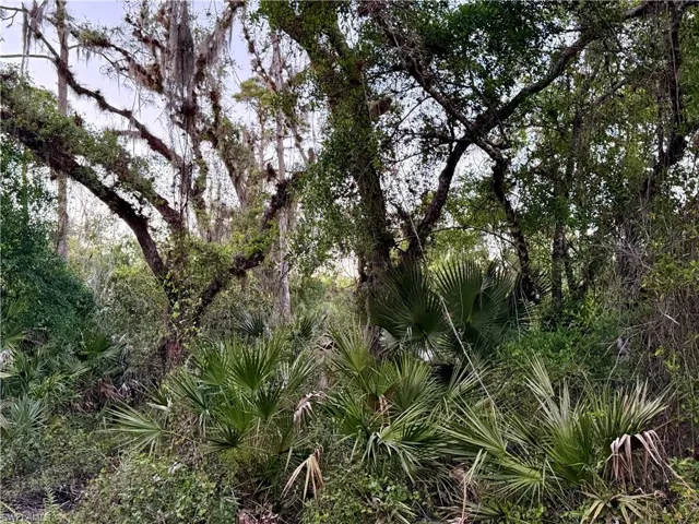Secretariat Dr, Labelle, Florida 33935