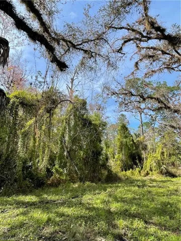 Secretariat Dr, Labelle, Florida 33935