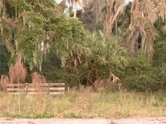 Secretariat Dr, Labelle, Florida 33935