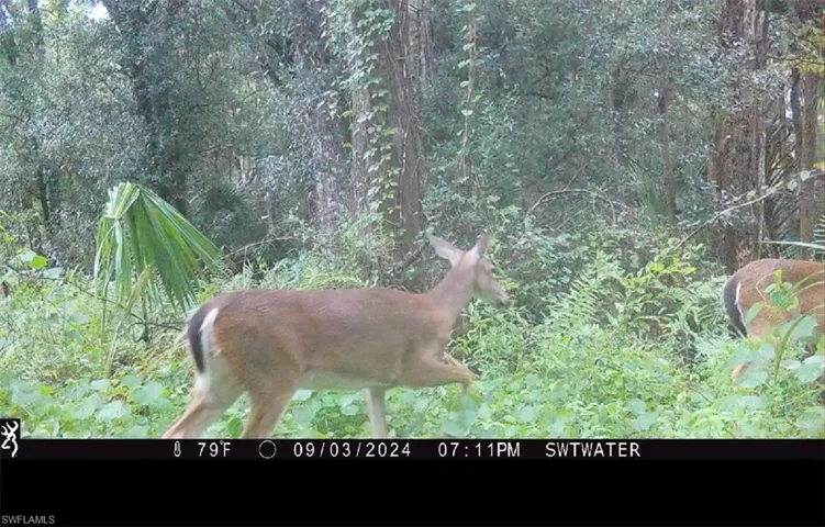 Secretariat Dr, Labelle, Florida 33935