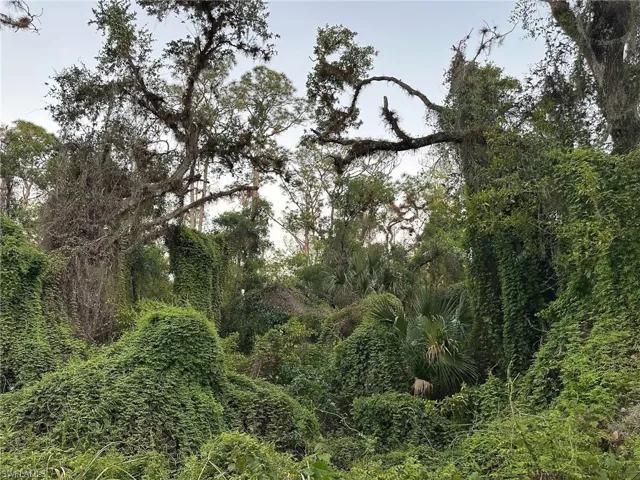 Secretariat Dr, Labelle, Florida 33935