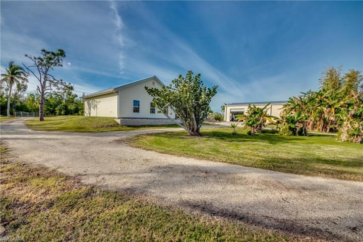 Back property has lot of fruit trees, banana, mango,