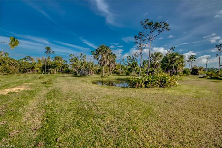 Back property has a pond and fruit trees