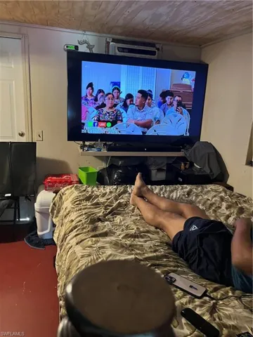 View of home theater