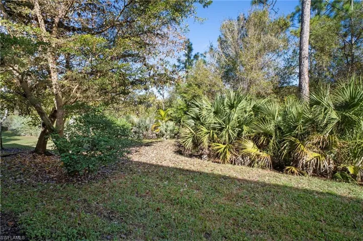 View of grassy yard