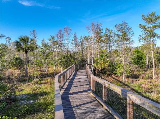 Expansive wooden boardwalk with safety railings, surrounded by natural landscaping