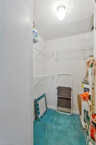 PLENTY OF ROOM FOR YOUR GUEST'S THINGS  WITH THIS WALK IN CLOSET