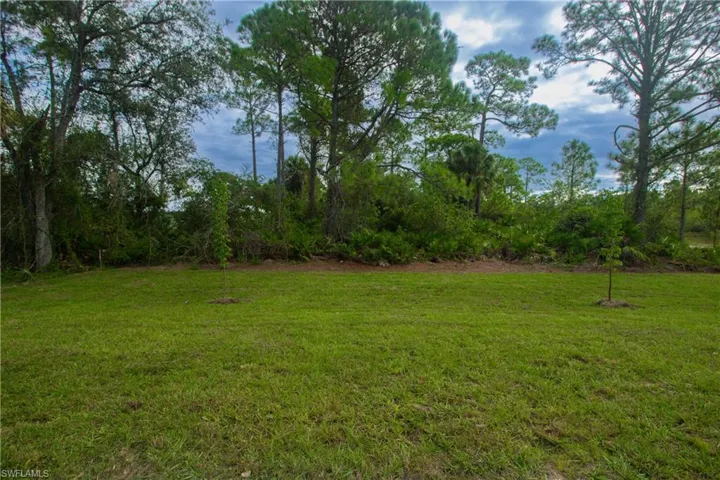 View of grassy yard