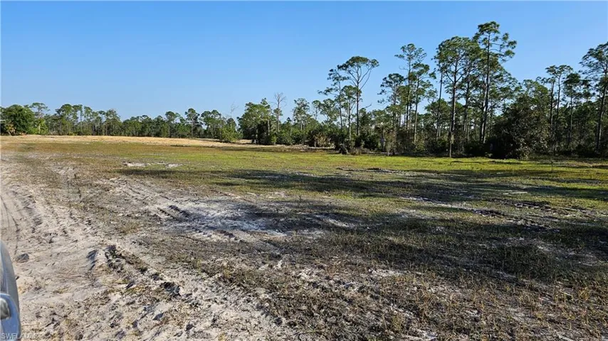 View of local wilderness