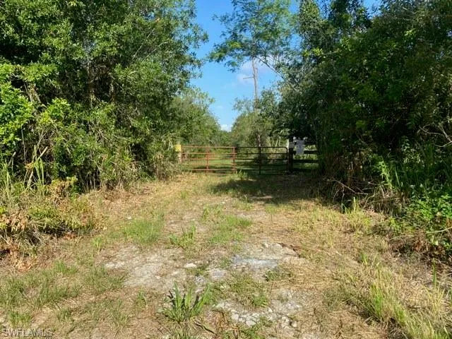 View of nature