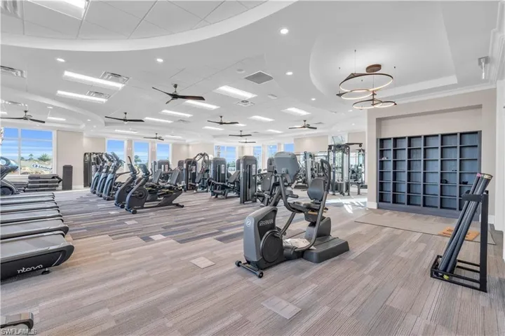 Gym with light carpet, plenty of natural light, and ceiling fan