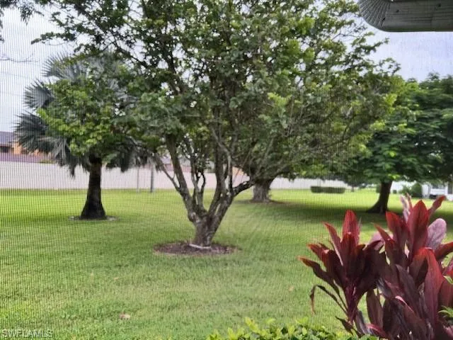 View of grassy yard