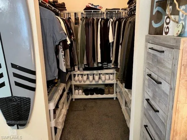 Spacious closet with dark colored carpet