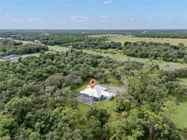 Aerial view of a forest
