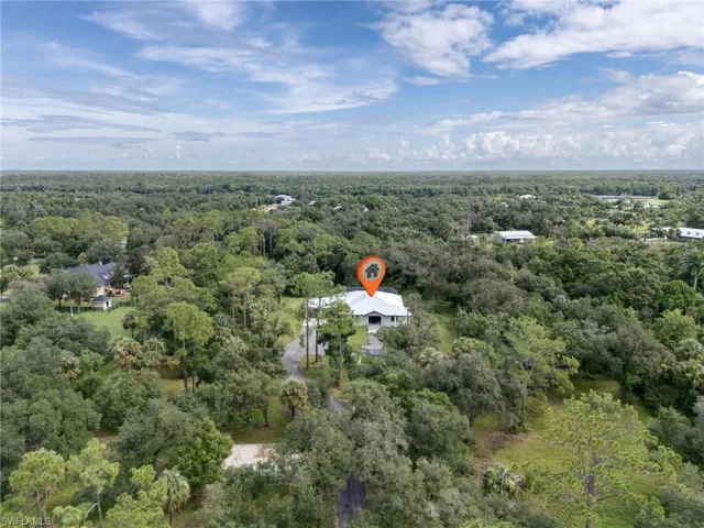 Bird's eye view of a forest