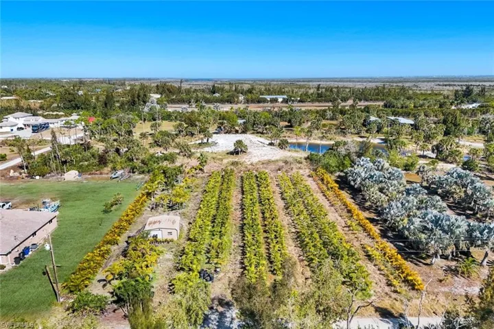 Aerial view of sparsely populated area with rows of crops and a large body of water